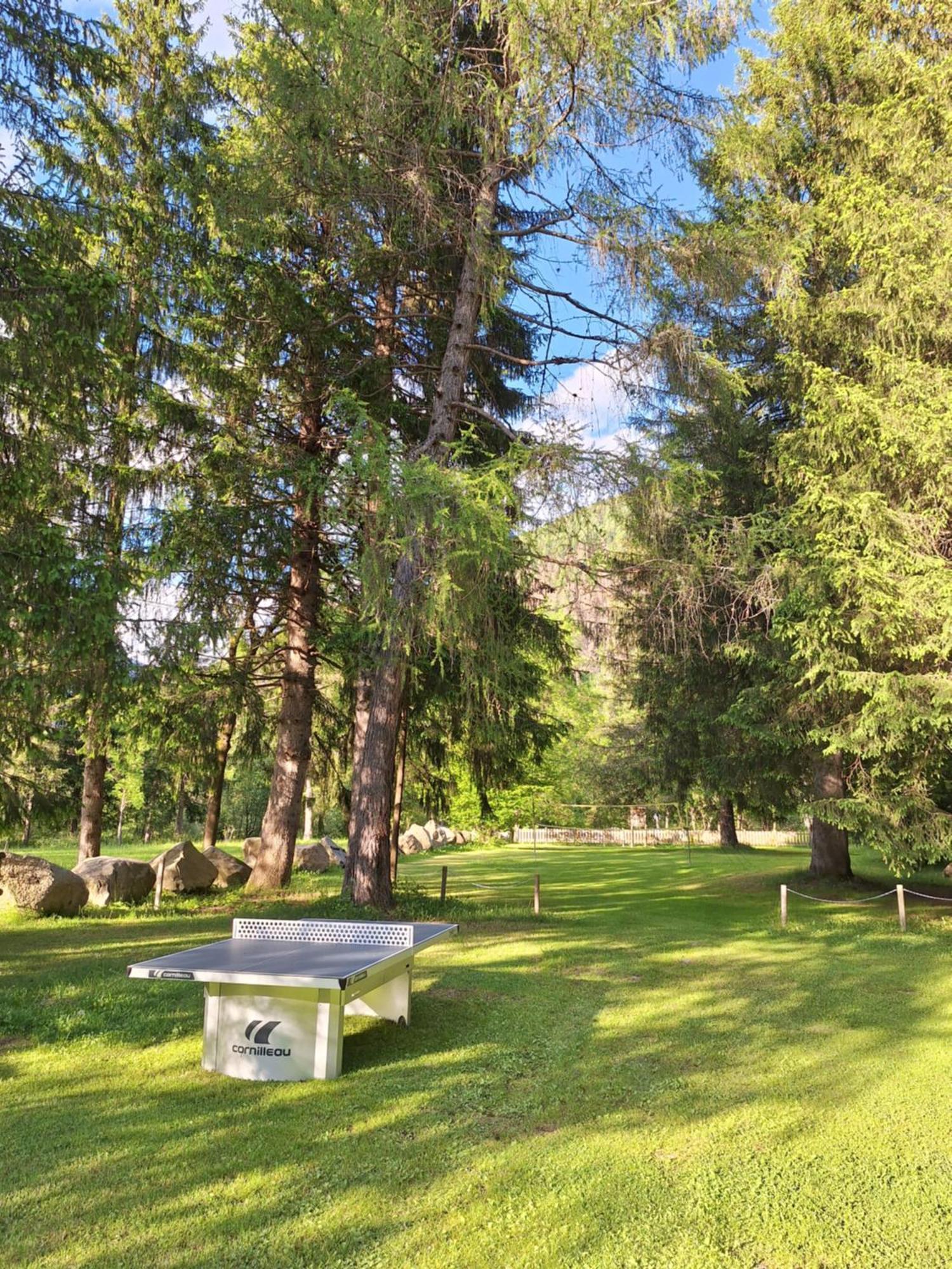 Chalet Presanella Temù 外观 照片