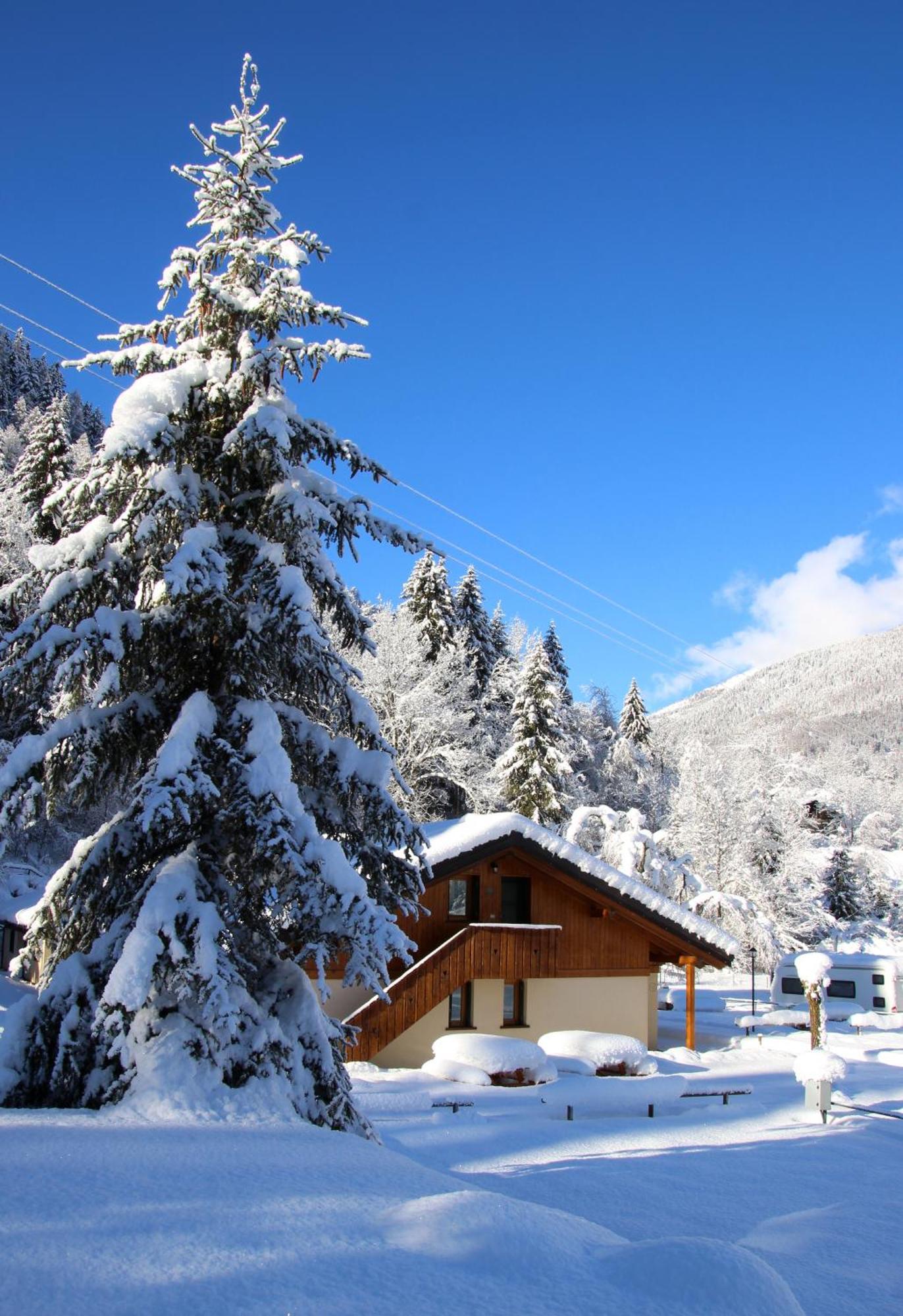 Chalet Presanella Temù 外观 照片