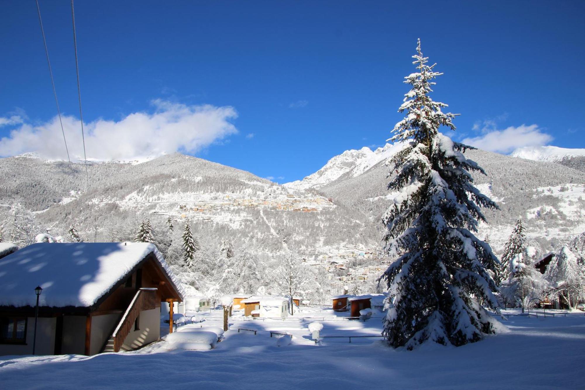 Chalet Presanella Temù 外观 照片