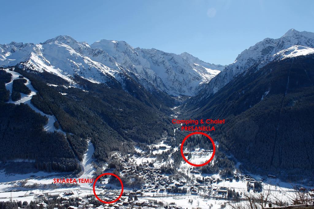 Chalet Presanella Temù 外观 照片